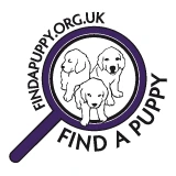 Find a Puppy